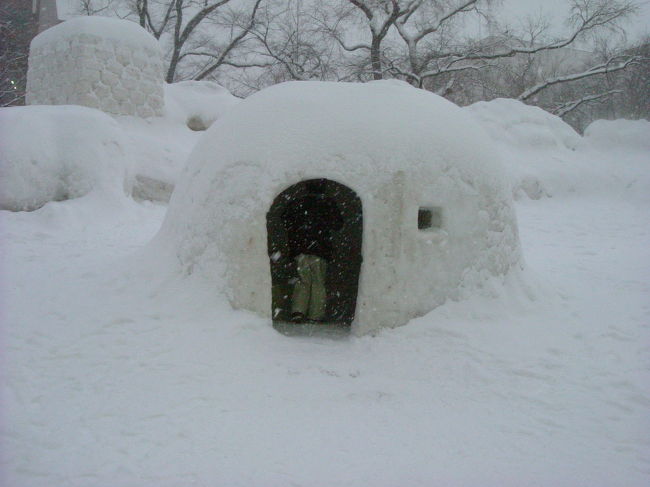 2007年雪まつり2日目』北海道の旅行記・ブログ by aoreiさん