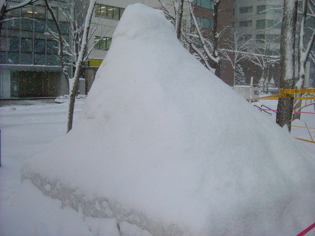 2007年雪まつり2日目』北海道の旅行記・ブログ by aoreiさん