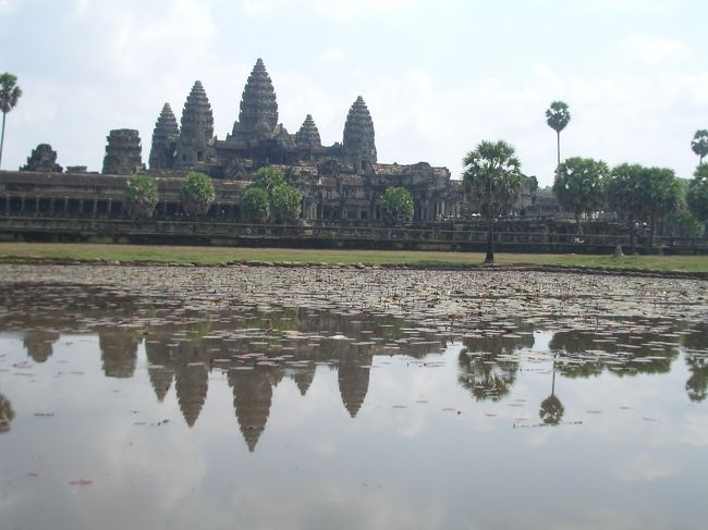 蓮の池にアンコールワットが映って綺麗ですね。<br />