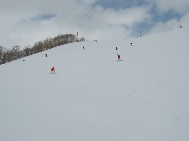 広いゲレンデで最高です。<br />ニセコアンヌプリスキー場。