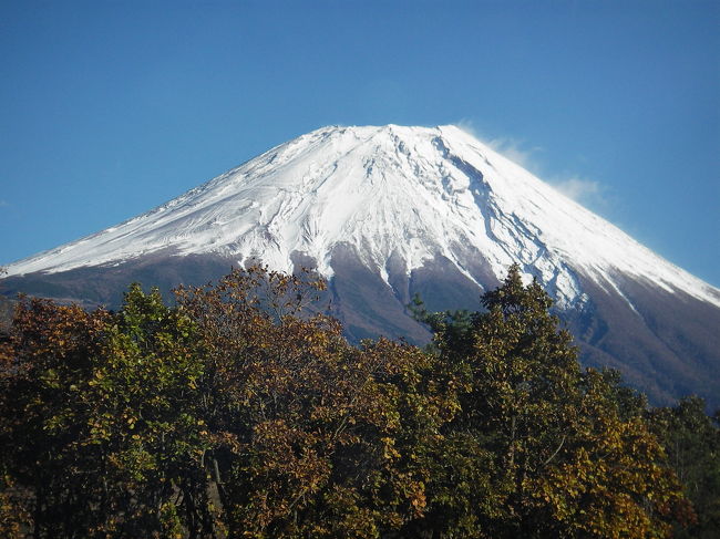 今回は初めて西冨士の方に回ってみました。<br />富士五湖と違って高原感覚で最高でした！