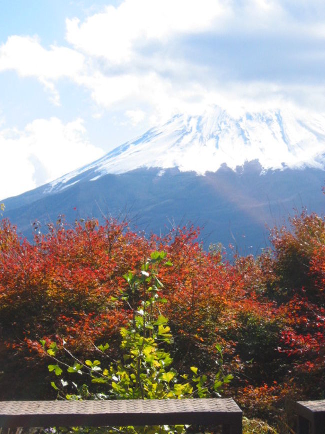 紅葉台から撮影！<br />この季節は空気が澄んで自然が本当に綺麗に見えますね。