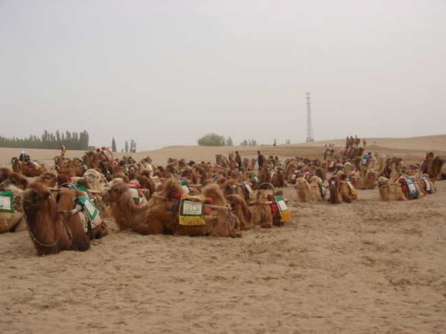 シルクロード敦煌の砂 シルクロードの美しい砂丘「鳴沙山」 | SOWHATの世界旅日記