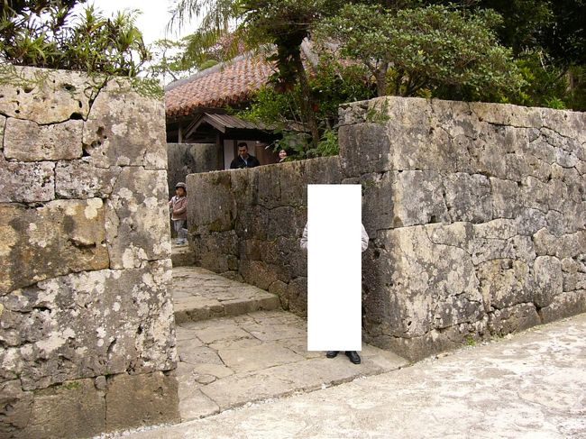 恥しいので写真は白抜けで失礼します。<br />石壁はこのぐらい立派な大きさがあります。<br />村中で見た他家の石壁よりも少し高いようです。<br />格式の違いでしょうか。