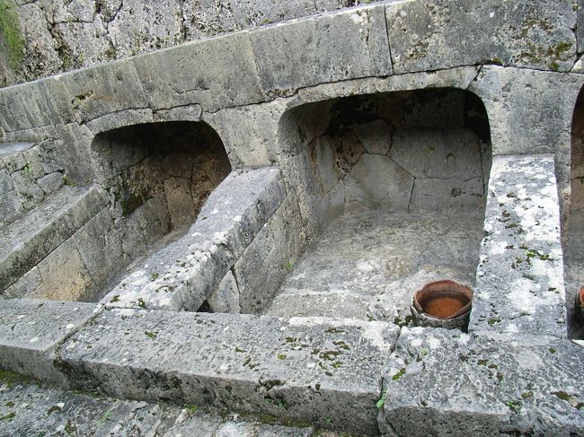 これは豚小屋です。