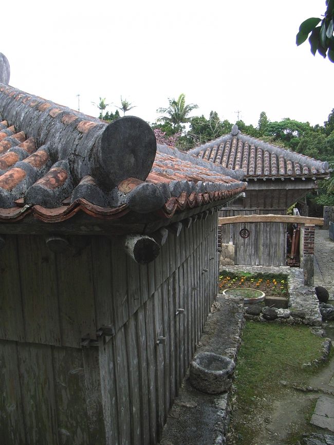 井戸の後ろから家を取り巻く坂道を登ると、石の敷地や鮮やかな琉球瓦の屋根が目を奪います。