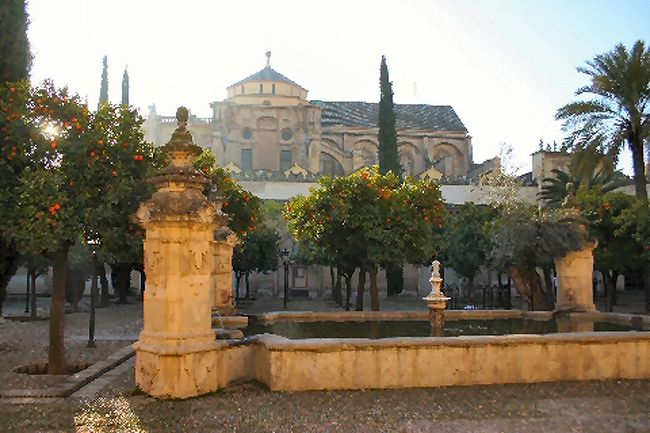 コルドバの観光地といえばメスキータ。イスラムのモスクがのちにカソリックによって改造された建物だそうだ。中庭にはオレンジの木が植えられていて、1月にいくと、いっぱいに実っている。これをちぎって食ってみると、なかなかうまい。