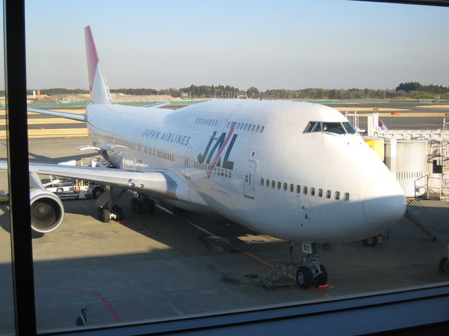 JL729です。15:55発、22:25デンパサール到着です。<br />成田からの行きが7時間30分で、帰りが6時間10分と、ずいぶん違うんですね。偏西風は協力だ。