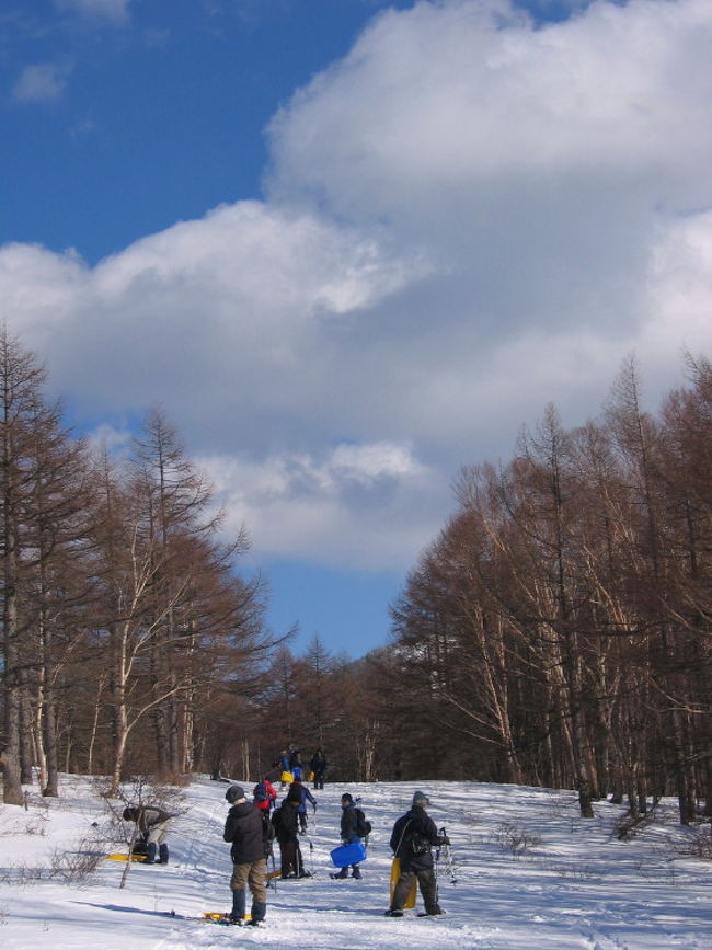たのしさ花マル 雪遊び 軽井沢 長野県 の旅行記 ブログ By そよ風さん フォートラベル