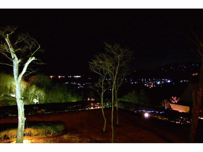 お部屋のバルコニーからの夜景