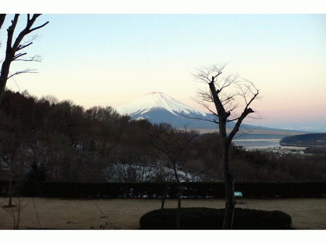 辺りが明るくなってきました