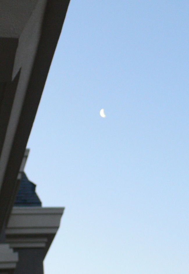 綺麗な三日月が出ていました