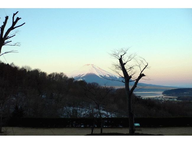 すっきりと晴れ上がった朝です