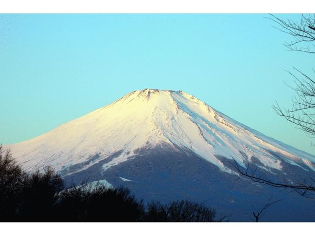 更に輝きを増しました
