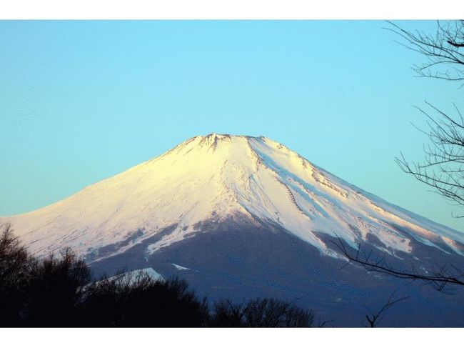 五合目辺りまで赤くなりました