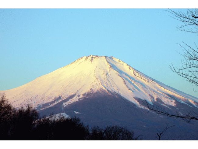 裾野のほうまですっかり赤く染まりました