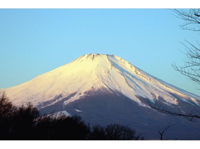 この朝一番の輝きを放っていました