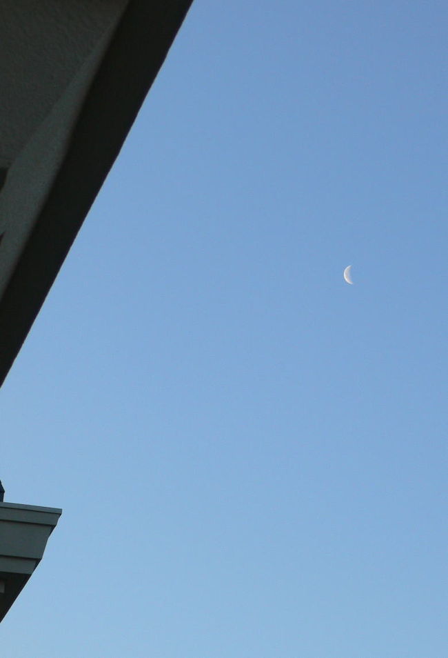 月は未だ輝いています