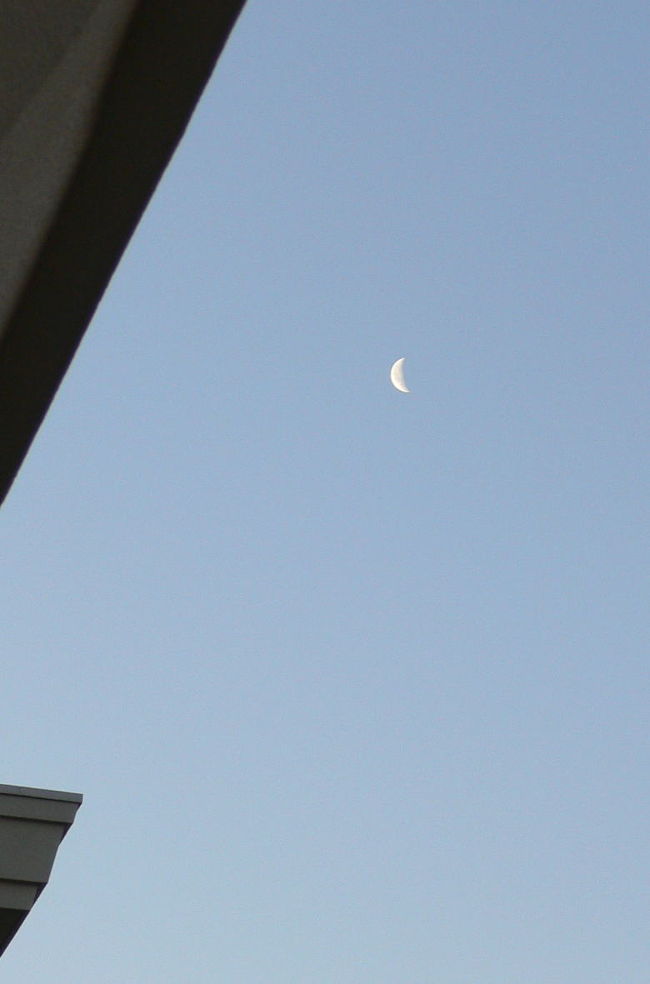 空が明るくなって月の輝きが吸収されてきました