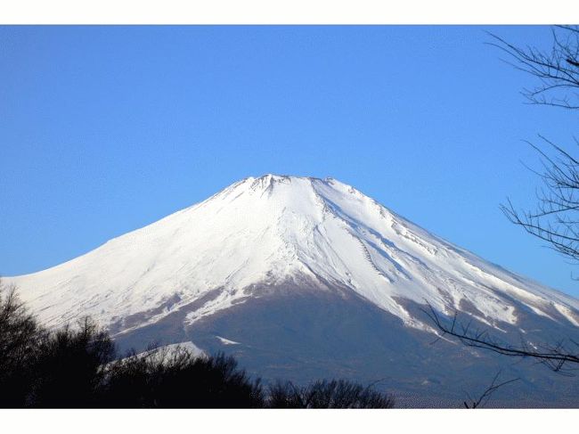 穏やかな一日を予感させてくれます
