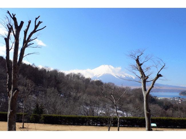 ＡＭ１１：１８