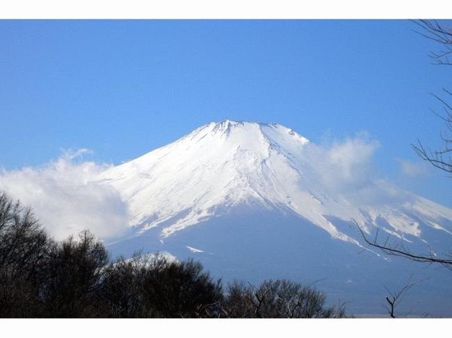 少し雲が出てきました