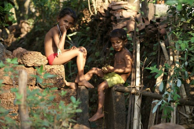 赤パン、黄パンが印象的
