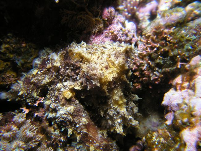 私はどこにいるでしょう？<br />