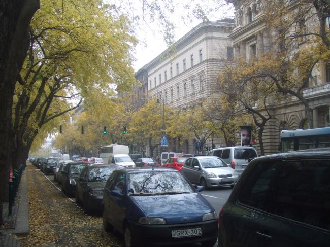 世界遺産に通り全体が登録されているとは後で知った。<br />確かにご覧の通り綺麗な街路樹に挟まれていて歩くのも楽しい！