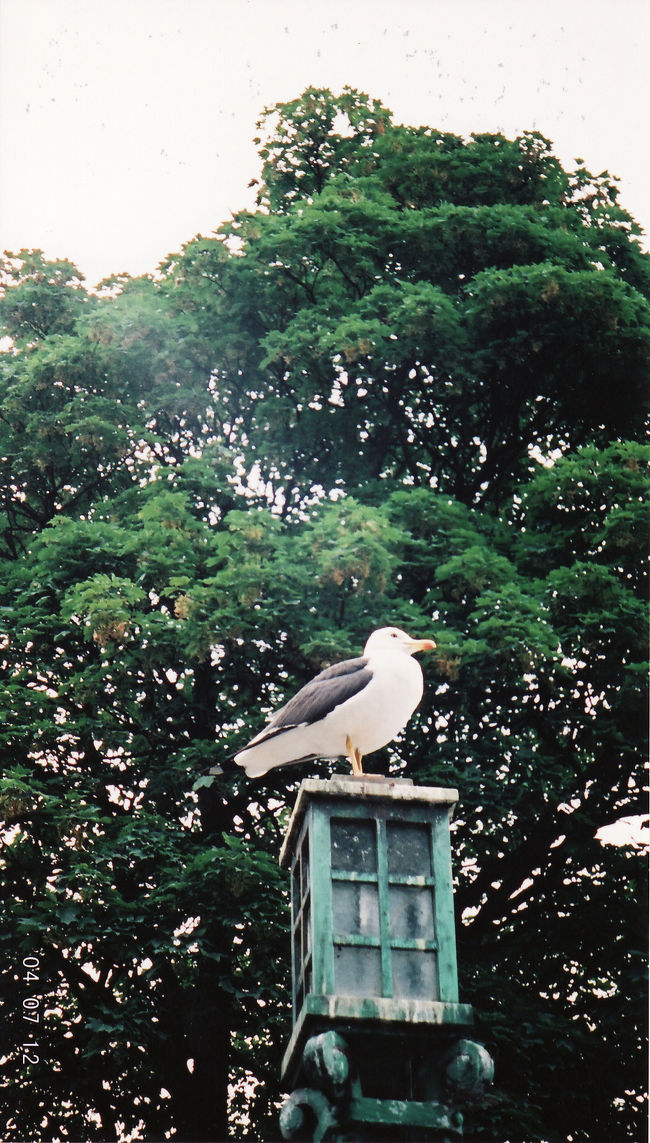 　スタヴァンゲルヘの帰りも行きと同じルート。<br /><br />　晩御飯を食べてから宿に帰ったら、娘さんが翌日の朝食用チョコブラウニーを焼いて、コーヒーを入れてくれた。<br />　お腹はそんなにすいてなかったけど、疲れていたからか、焼きたてチョコブラウニーの甘さとあったかいコーヒーが浸み込むようで心地良い。