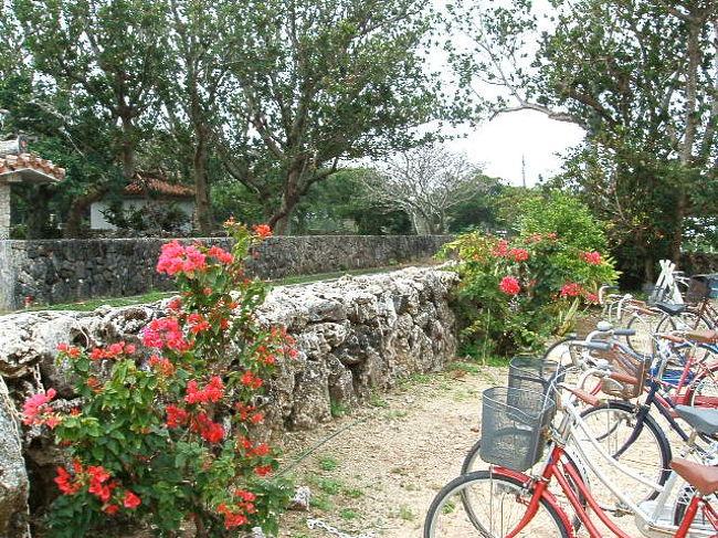 翌日、二日酔いMAXの中、高速フェリーに乗って２５分揺られ、黒島へ。民宿の方に港まで車で迎えに来てもらって、とりあえずチェックイン。ここは、アタシが宿泊した民宿、なかた荘の庭。チャリは無料で貸してくれます。