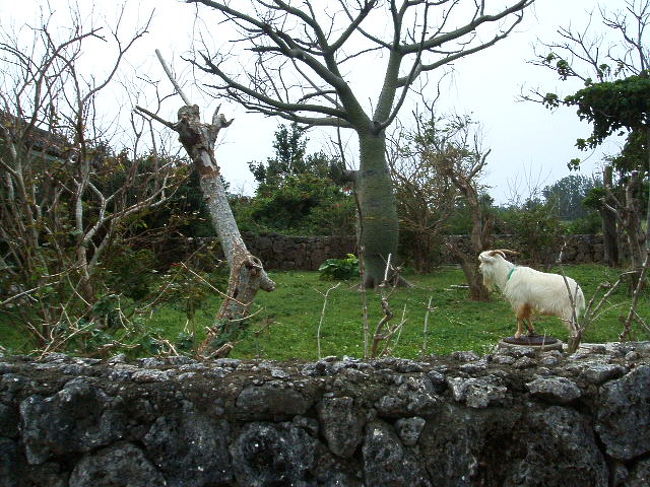 更に近くへ(笑)。なんか心なしか退廃的(笑)。