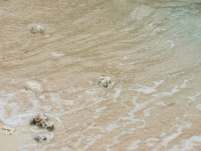 波の引き際。砂がホントに真っ白でさらさらで、全然汚くないの。初めて見る南の島の海に、もー大興奮☆