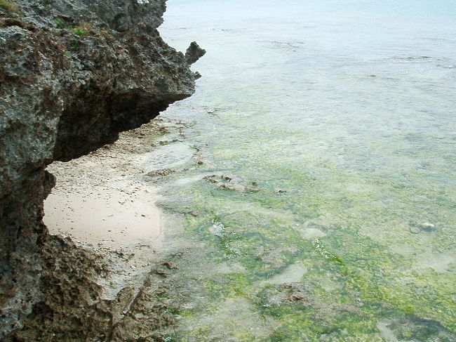 岩礁によじ登って、上からパチリ☆
