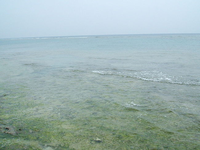 もいっちょー☆