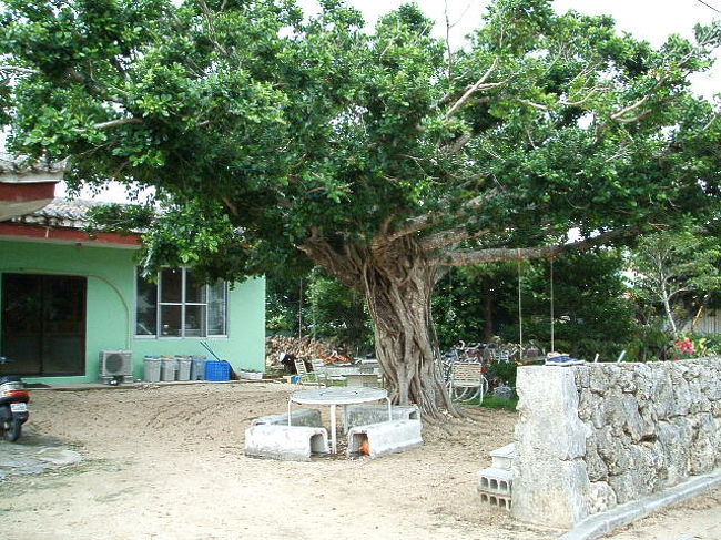 ここ「みやき荘」と、アタシが宿泊した「なかた荘」、どっちにしよーか最後まで悩んだんだよね。なかた荘から仲本海岸に行く途中に、偶然発見☆大きな木にいくつもぶら下がったブランコがアゲー↑↑