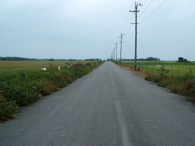 チャリンコで１５〜２０分で一周できちゃう黒島。タクシーやバスなんて画期的なもんはありません。移動手段は、自家用車かチャリ。果てしなーく続く一本道が、チャリに乗ってても気持ちいー♪
