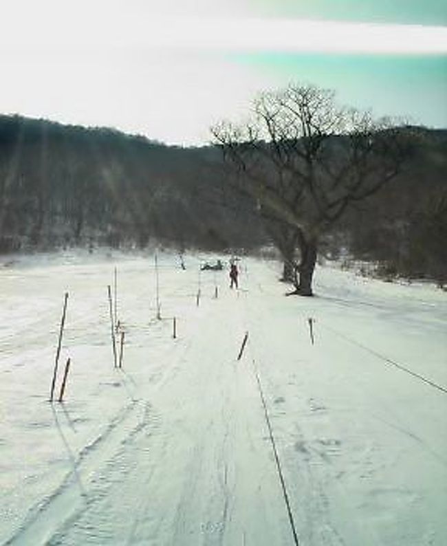 日本一小さなスキー場 赤城山第１スキー場 赤城山周辺 群馬県 の旅行記 ブログ By 高級和牛の会のかいさん フォートラベル