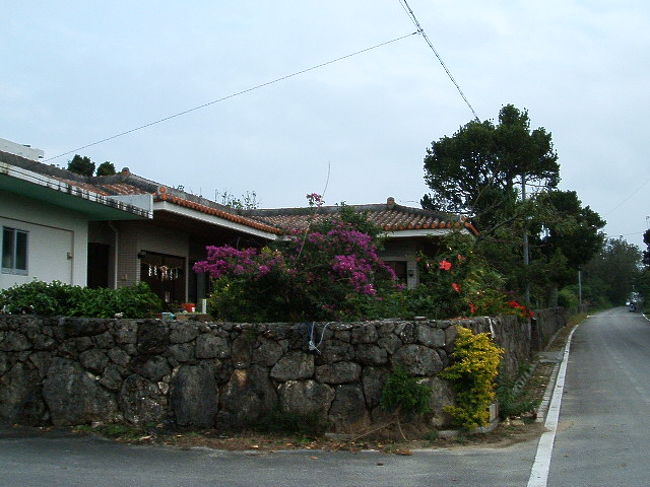 フツーの民家の庭でも、こんだけ素敵なガーデニングをしてるお家が、島にはいっぱい(^-^)