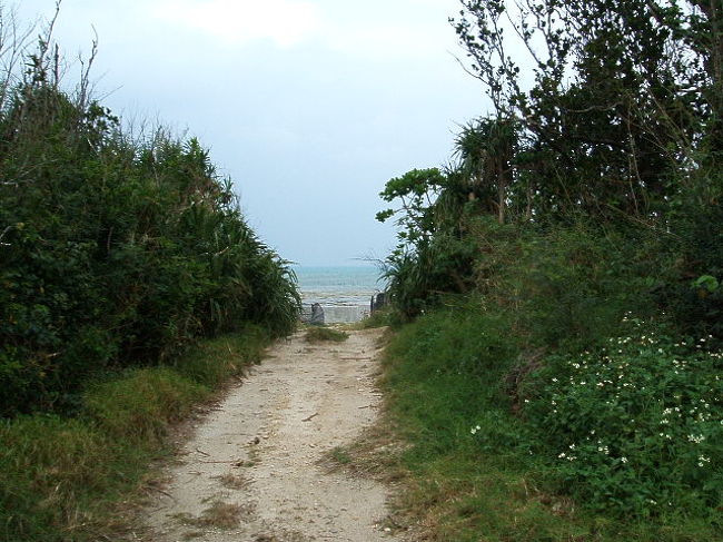 自転車で一本道を走ってたら、脇に入る道の向こうに海を発見☆もちろん奥へ行ってみました〜♪