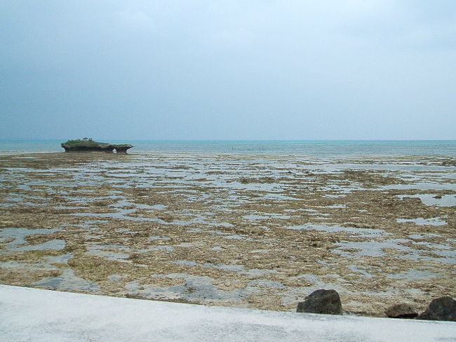 開けた先は、引き潮の海。遠くにある岩礁がポイントになってます(^-^)