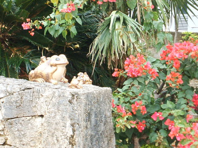 郵便局向かって左前にカエルの親子(笑)。なんか和む(笑)。