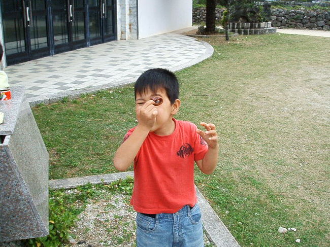 夜の酒のつまみ用に缶詰を４個買ってチャリの籠に入れてたら、ソッコー見つかって群がってきたので、心外だが１個ずつ与える事に(笑)。画像は、一番年下で５歳のマロくん。イカリング越しに見る世界はどんな色？？