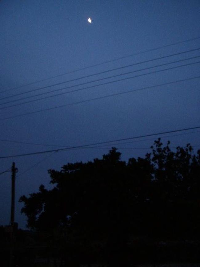 島の夜明け。まだ月が見えます。部屋の窓から。静かな空間に、けたたましいニワトリの声が響き渡ってました(笑)。