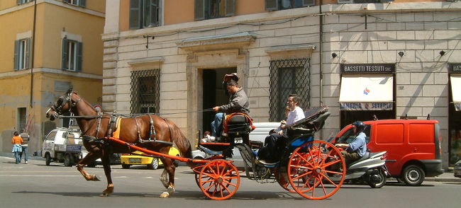 観光馬車をよく見かけます。<br />いつかはちょっと乗ってみたいかも（^^です。