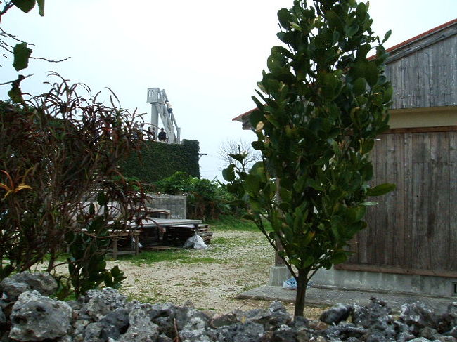 遠くに見えるのがなごみの塔といって、昔はあそこに上って、この島を一望したり、見張り台的な役割を果たしていたんだとか。そんなに高くはないんだけど、この島の家屋、2階建ては禁止されてるらしいから問題ないみたい(^_^)