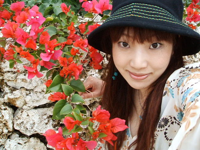 八重山に来て、新たに向日葵、バラに次いで大好きになった花がこれ☆ブーゲンビリア。美麗すぎ。本島で見れないのがホントに残念↓↓