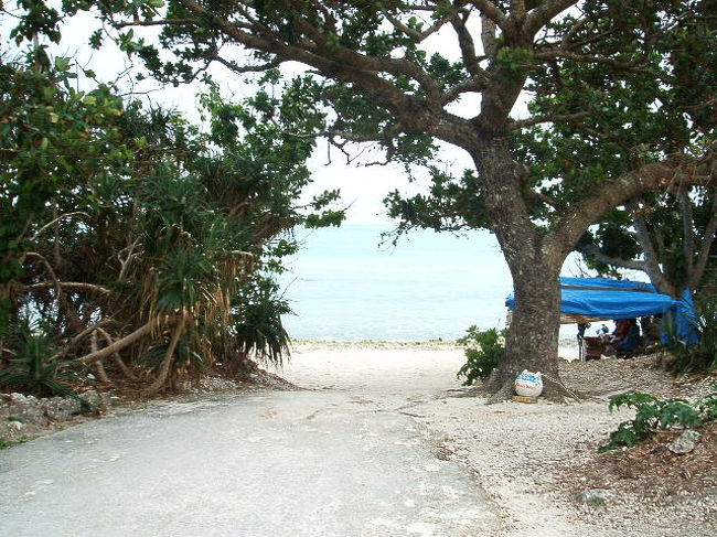 もうちょっと足を伸ばして、星の砂が取れることで有名なカイジ浜へ。今日は、チャリを使わずに敢えて徒歩で。アタシはてっきり、砂浜の砂ぜーんぶ星の砂ぐらいの勢いかと思ってたんだけど、岩場を目を凝らして見つけないとダメな代物だったのね。無理(笑)。
