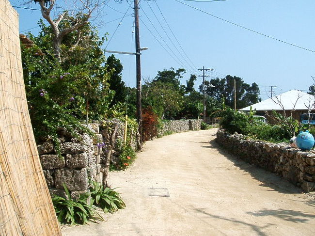 竹の子の前の道。あー八重山そば食いたくなってきた(笑)。