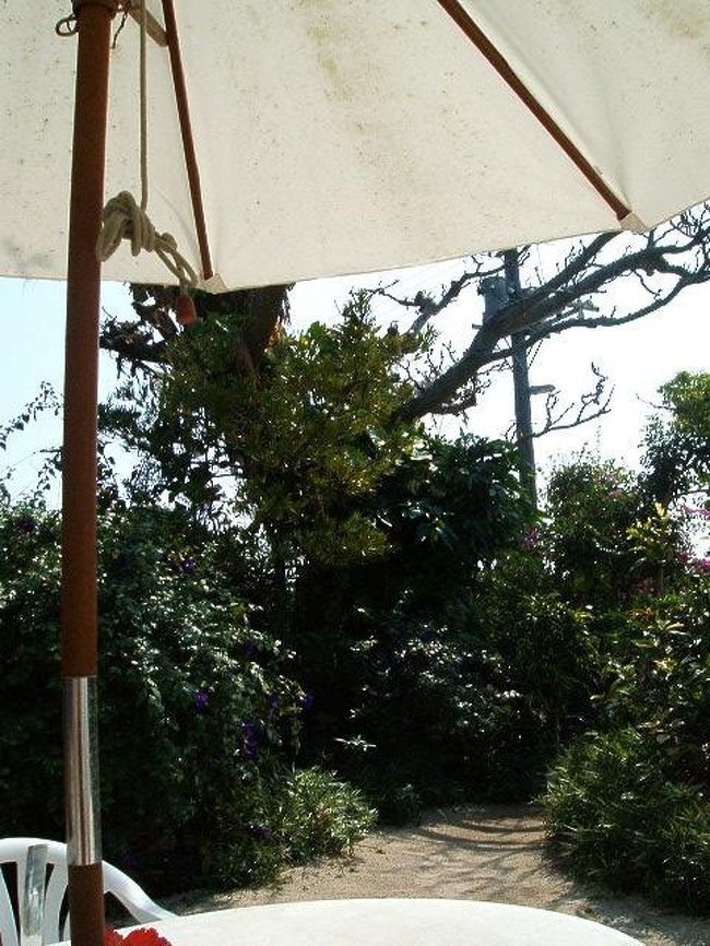 お庭には、こーいうパラソルの下に、真っ白なテーブルと椅子。原色の島に、ぱきっと映えてていー感じ☆